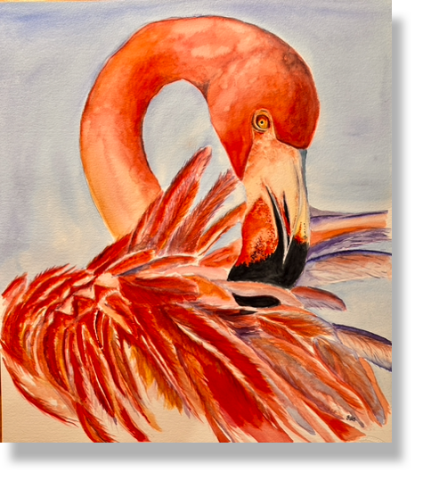 Flamingo, Watercolor